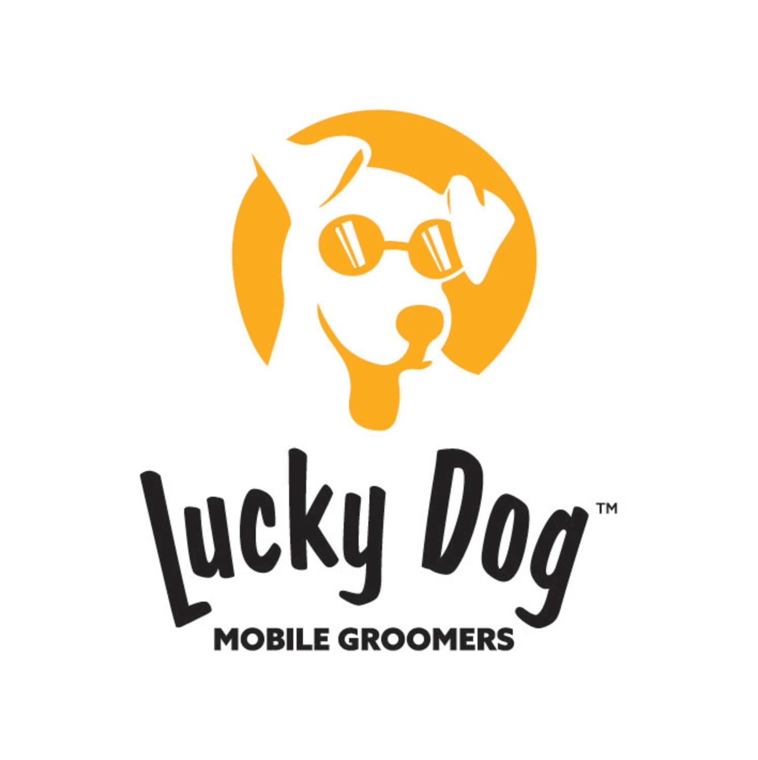 Lucky Dog Mobile Groomers Goes Global With First Internation