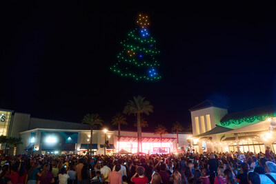 Sky Elements Drones create a Christmas Tree display during a holiday show in Wesley Chapel, Florida, on Nov. 8, 2025.