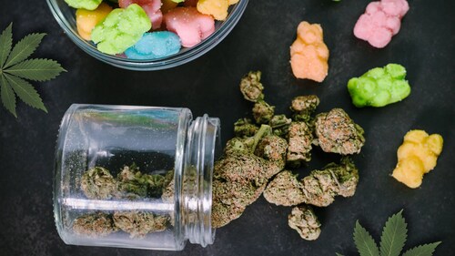 New CAA Study Sheds Light on Edible Cannabis and Collision Risk Among Young Drivers. (CNW Group/CAA South Central Ontario)