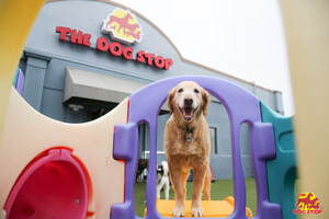 The Dog Stop Set to Enter Massachusetts for the First Time