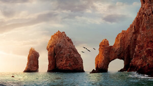 EMBRACE IT INITIATIVE WILL CONTINUE IN 2026 FOR INTERNATIONAL TRAVELERS VISITING BAJA CALIFORNIA SUR