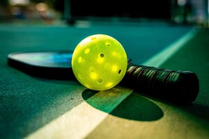 Digital Information Resources, LLC (DIR) Launches PickleballSquid.com -- A Dynamic New Digital Destination for the Fastest-Growing Sport in America