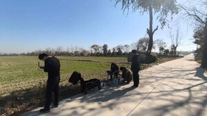 Puwell Shatters Wi-Fi Limits: Showmo MileFlask Kit Achieves 2-Mile Wireless HD Video Range Ahead of CES 2026