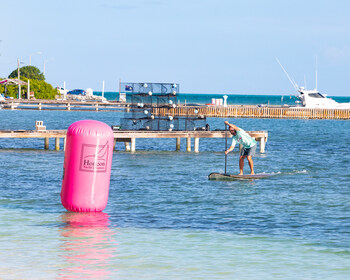 Heading to the finish of the downwind paddleboard race at The Lobster Trap