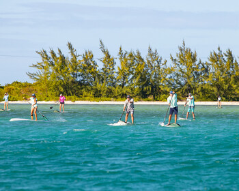 The start of the paddleboard race