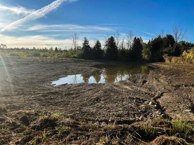 Wetland after construction. (CNW Group/Ducks Unlimited Canada)