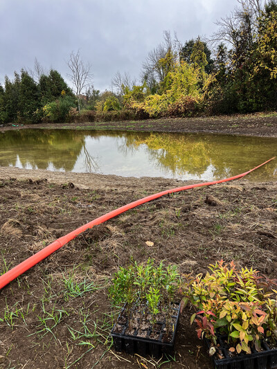 Riparian plants ready for planting. (CNW Group/Ducks Unlimited Canada)