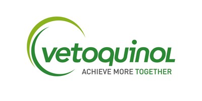BUILDING THE FUTURE ON NEW FOUNDATIONS: FOCUS, EXCELLENCE AND PARTNERSHIPS IN THE LARGE ANIMAL SECTOR
