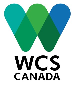 National Peatland Strategy proposed to protect climate-critical ecosystems amid extraction and industrial development rush