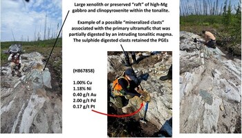 Figure 4 – Massive sulphide and ultra-mafic ‘rip-up’ blocks within younger tonalite in outcrop proximal to the Lion-Tiger area. (CNW Group/Power Metallic Mines Inc.) Figure 4 – Massive sulphide and ultra-mafic ‘rip-up’ blocks within younger tonalite in outcrop proximal to the Lion-Tiger area. (CNW Group/Power Metallic Mines Inc.)