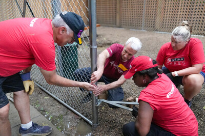 Purina and RedRover, in partnership with Greater Good Charities, brought team members to YWCA Greater Cincinnati – a 2025 Purple Leash Project grant recipient – to help convert an existing building into six pet-friendly rooms and outfit them with specialized pet equipment, as well as construct two pet-relief yards installed with tire tunnels for dogs to play and exercise off-leash.
