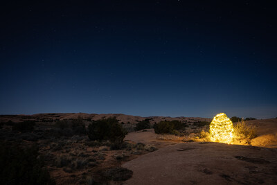 Festive tree in desert