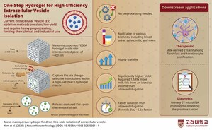 Korea University Researchers Create Hydrogel Platform for High-Throughput Extracellular Vesicle Isolation