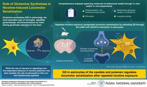 Pusan National University Researchers Identify the Brain Enzyme That Drives Nicotine Addiction and Smoking Dependence
