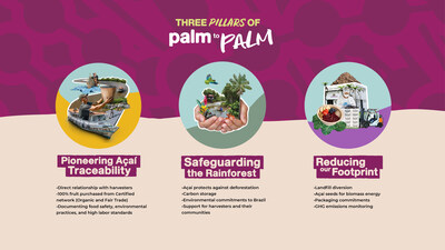 The 3 Pillars SAMBAZON utilizes to drive Palm to Palm Impact.