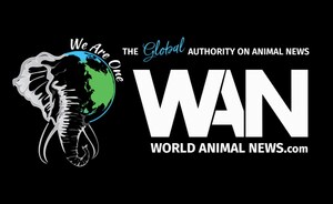 World Animal News and Ecoflix Announce New Partnership to Drive Mainstream Awareness for Animal Welfare Worldwide