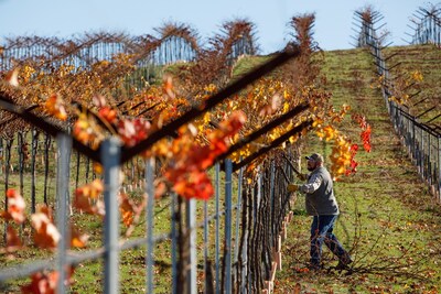 Noble Research Institute Announces Noble Orchard Essentials, Focused on Regenerative Management for Orchards and Vineyards