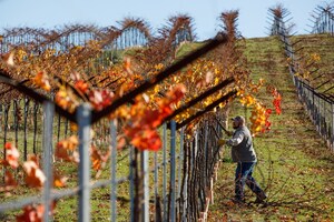 Noble Research Institute Announces Noble Orchard Essentials, Focused on Regenerative Management for Orchards and Vineyards