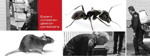 Abat Extermination Remporte Le Prix Choix du Consommateur 2025 En Gestion Parasitaire À Trois-Rivières