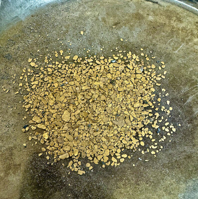 Pic 4 - Recovered Placer Gold (CNW Group/Omineca Mining and Metals Ltd.)