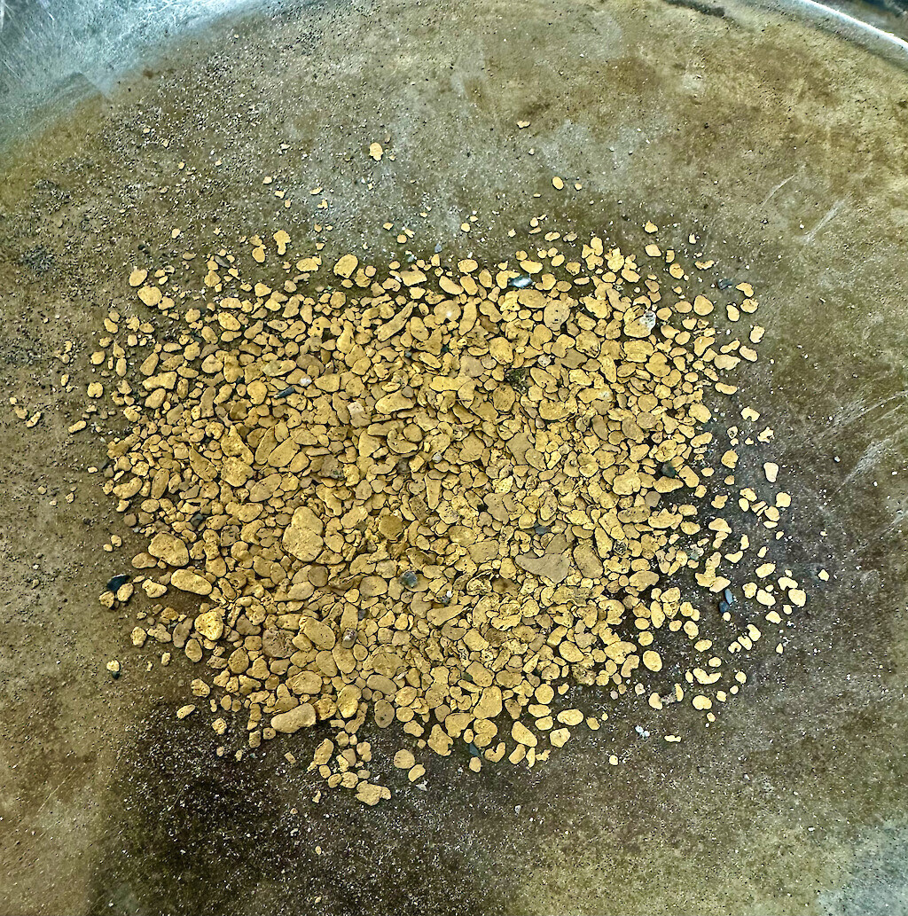 Foto 4 - Oro aluvial recuperado (CNW Group/Omineca Mining and Metals Ltd.)