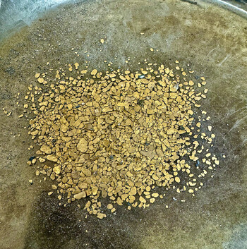 Pic 4 - Recovered Placer Gold (CNW Group/Omineca Mining and Metals Ltd.)