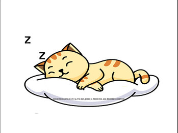 The Cozy Cat With 2.4 billion Views Online Now Stars in a Magical