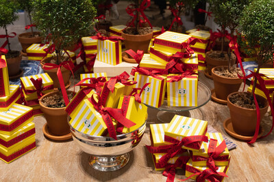 Photography: Ash Bean