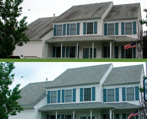 Soft Wash Is Out, Roof Shampoo Is In: Guaranteed Roof Adopts Non-Bleach Roof Shampoo® as the Safe Standard for Roof Cleaning in Metro Tennessee