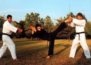 GrandMaster S.H. Yu Nominated to the U.S. Tae Kwon Do GrandMasters Hall of Fame