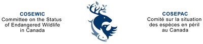 COSEWIC Logo (CNW Group/Committee on the Status of Endangered Wildlife in Canada) COSEWIC Logo (CNW Group/Committee on the Status of Endangered Wildlife in Canada)