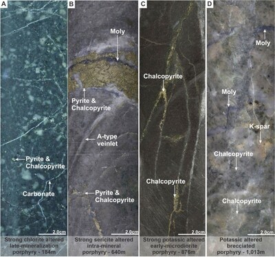 Figure 3. Mineralization and hydrothermal alteration observed in MD-052. A). Strong chlorite-altered late stage mineralization porphyry with chalcopyrite and pyrite disseminated. B). Strong sericite-altered Intra-mineral porphyry with late D-veinlet reusing open space of early B-type veinlet. C). Strong potassic-altered early microdiorite porphyry with multiple chalcopyrite veinlets (C-type). Brecciated quartzdiorite porphyry with strong potassic alteration (K-spar) with molybdenite (moly) and chalcopyrite as matrix in-fill. (CNW Group/COPPER GIANT RESOURCES CORP.) Figure 3. Mineralization and hydrothermal alteration observed in MD-052. A). Strong chlorite-altered late stage mineralization porphyry with chalcopyrite and pyrite disseminated. B). Strong sericite-altered Intra-mineral porphyry with late D-veinlet reusing open space of early B-type veinlet. C). Strong potassic-altered early microdiorite porphyry with multiple chalcopyrite veinlets (C-type). Brecciated quartzdiorite porphyry with strong potassic alteration (K-spar) with molybdenite (moly) and chalcopyrite as matrix in-fill. (CNW Group/COPPER GIANT RESOURCES CORP.)