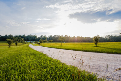 Photo credit to: Visit Tallahassee