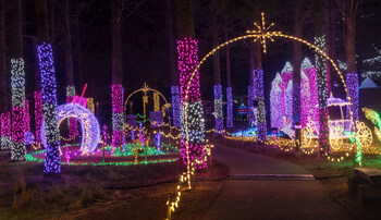 Charleston Christmas Lights 2025