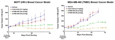Potent Efficacy Across Breast Cancer Subtypes Potent Efficacy Across Breast Cancer Subtypes