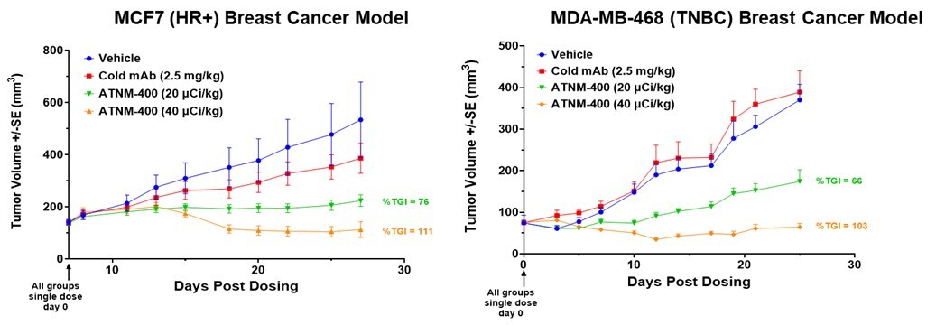 Potent Efficacy Across Breast Cancer Subtypes