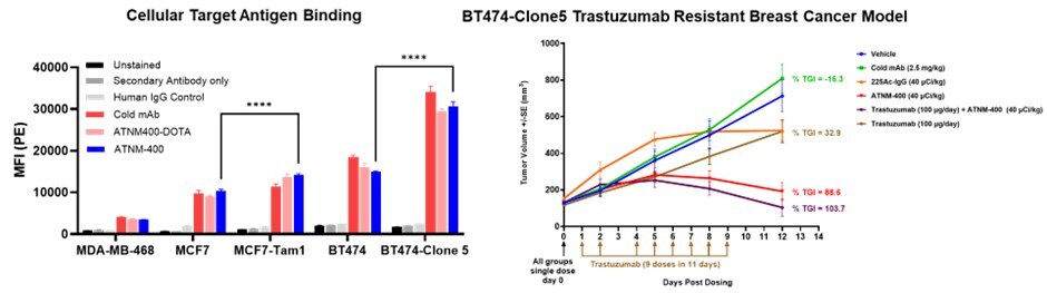 Potent Activity in Standard-of-care (SOC) Treatment-Resistant Breast Cancer Models: