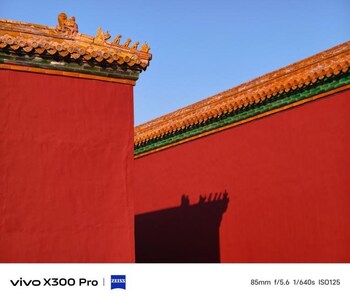 Award-winning work by Laura Olivo, Second Secretary of the Embassy of the Dominican Republic in China