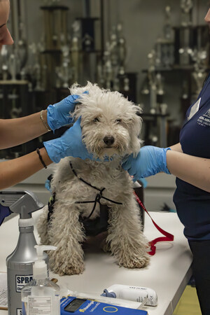 Arizona Animal Shelters Announce Major Donation from The Bob &amp; Renee Parsons Foundation to Expand Lifesaving Community Programs