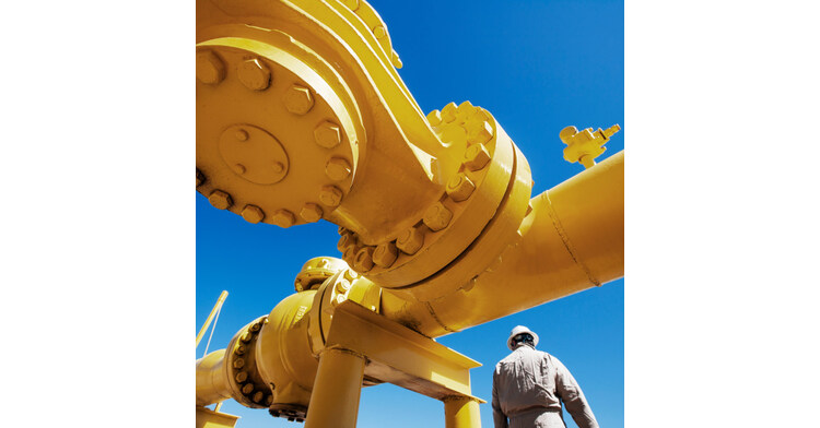 Cognizant enters five-year IT services agreement with ERIKS