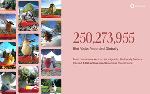 Birdbuddy Releases Its First Annual Report: A Quarter-Billion Bird Visits Logged Worldwide in 2025