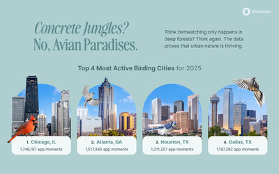 Most Active US Cities