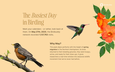 Busiest Day for Birds