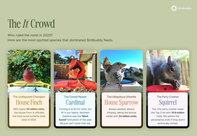 The Most Popular Birds