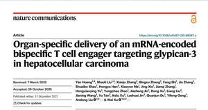 Breakthrough Progress: METiS TechBio Publishes Consecutive Research Findings in Nature Communications and the Journal for ImmunoTherapy of Cancer