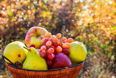 Fruits (PRNewsfoto/Invest Moldova)
