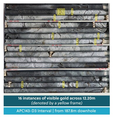 Figure 4: Drill Core from Hole APC143-D3. 16 Individual Instances of Visible Gold Logged Over 12.20 Metres from 187.80 Metres Down Hole (CNW Group/Collective Mining Ltd.) Figure 4: Drill Core from Hole APC143-D3. 16 Individual Instances of Visible Gold Logged Over 12.20 Metres from 187.80 Metres Down Hole (CNW Group/Collective Mining Ltd.)