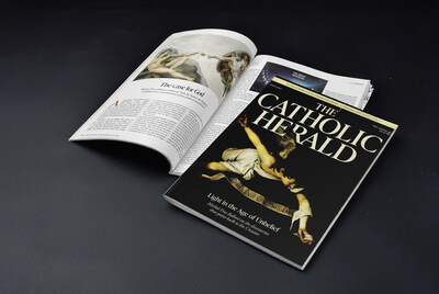 Author Michel-Yves Bolloré writes in The Catholic Herald, 