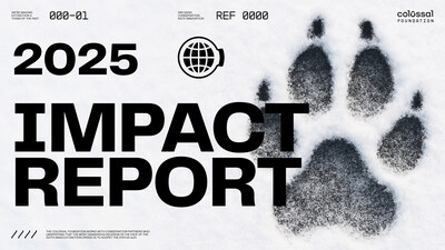 The Colossal Foundation 2025 Impact Report