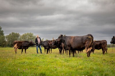 Ronald Haake züchtet in Kuhlhausen im Norden Sachsen-Anhalts Wagyu-Rinder. Er legt Wert auf eine langsame, stressfreie Aufzucht mit hochwertigem Futter, viel Platz und frischer Luft. Foto: Genussfinder